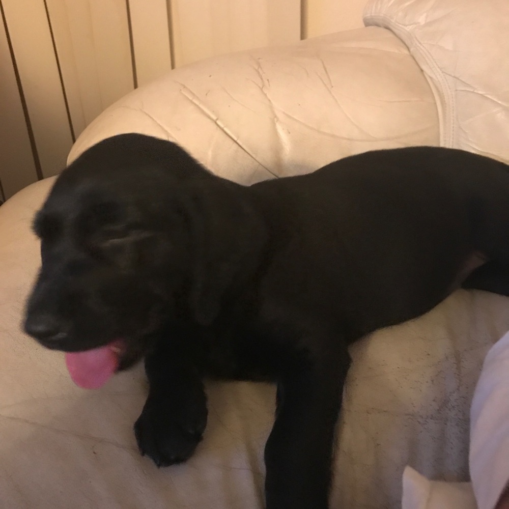 Meet your Posher, Kari